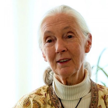 Dr. Jane Goodall